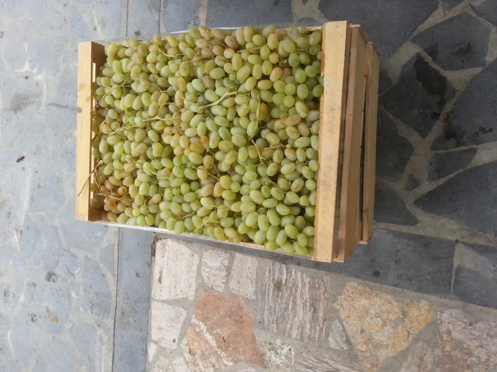 виноград, зелень, сухофрукты, финики. в Армения 4
