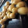 продовольственный картофель в Республике Беларусь 2