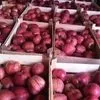 яблоки оптом продаем 2018 года урожая в Македонии 2