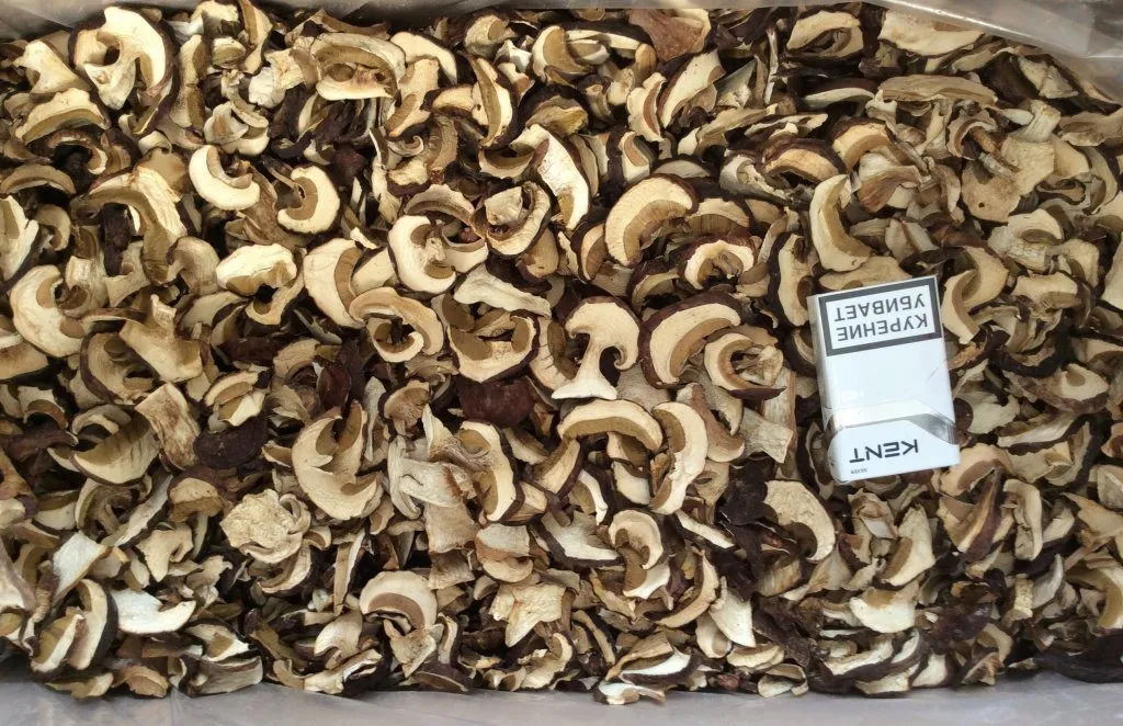 фотография продукта белый гриб