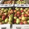 яблоки оптом по 36руб в Ростове-на-Дону 2