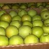 экспорт яблок в Республике Беларусь 7