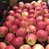 экспорт яблок в Республике Беларусь 2