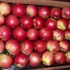 экспорт яблок в Республике Беларусь 6