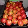 экспорт яблок в Республике Беларусь 5