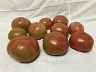 помидоры в Казани 2