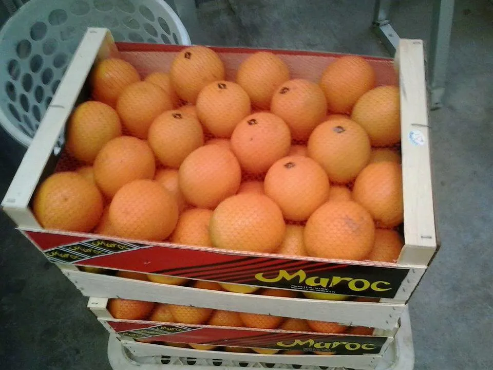 апельсины из Марокко в Санкт-Петербурге