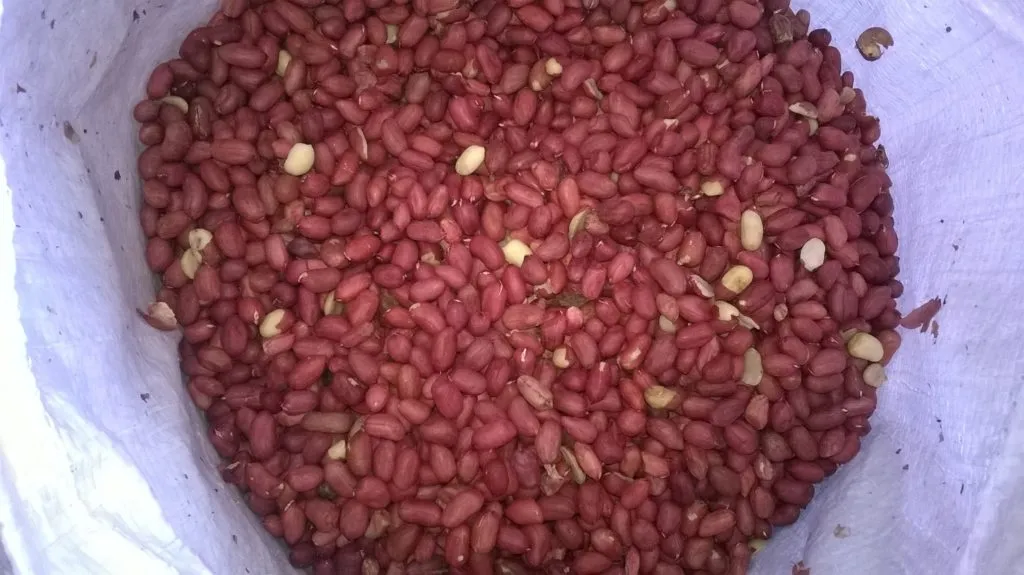 орехи кешью, грецкий, миндаль, арахис. в Улане-Удэ 3