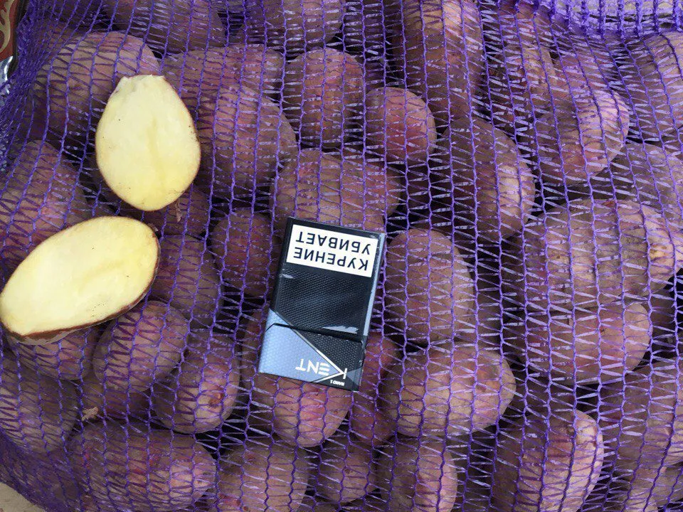 картофель  в Москве 2