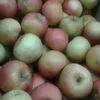 яблоки оптом Уфа в Уфе