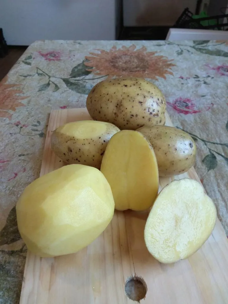 картофель сорт Гала от производителя в Пензе 2