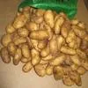 импортный картофель урожай 2019 г Египет в Краснодаре 4