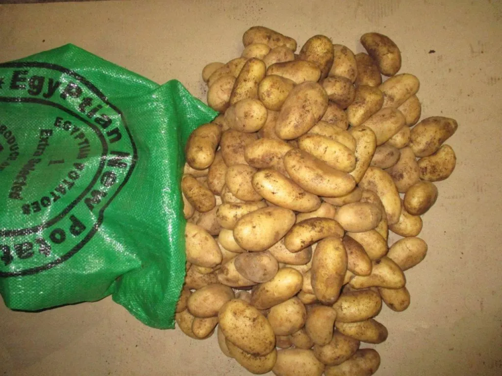 фотография продукта Импортный картофель урожай 2019 г Египет