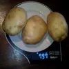  Картофель вес клубни от 70 до 500 гр.  в Брянске 6