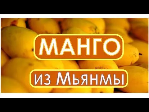 манго  в Москве 5