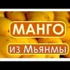 манго  в Москве 5