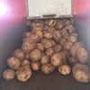 продаю картофель оптом  в Ростове-на-Дону 2