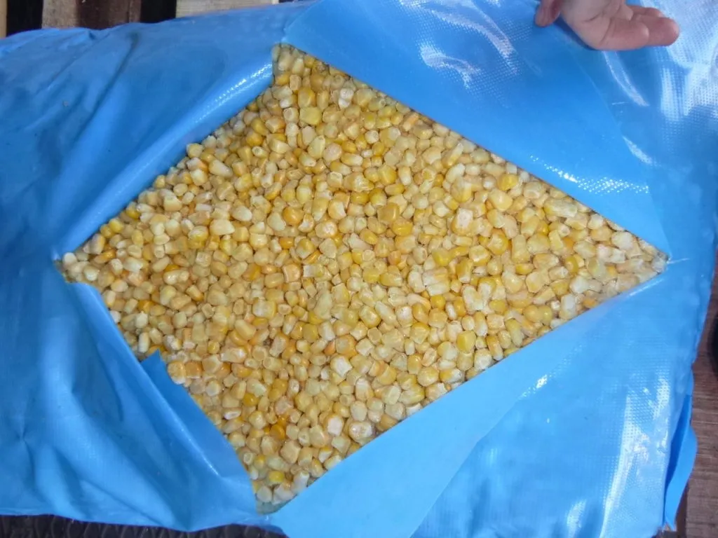 фотография продукта Кукуруза зерно индия