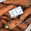 морковь в Гулькевичах