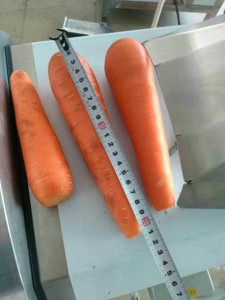 слайсер моркови по корейски в Владивостоке 3
