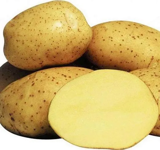 фотография продукта картофель оптом
