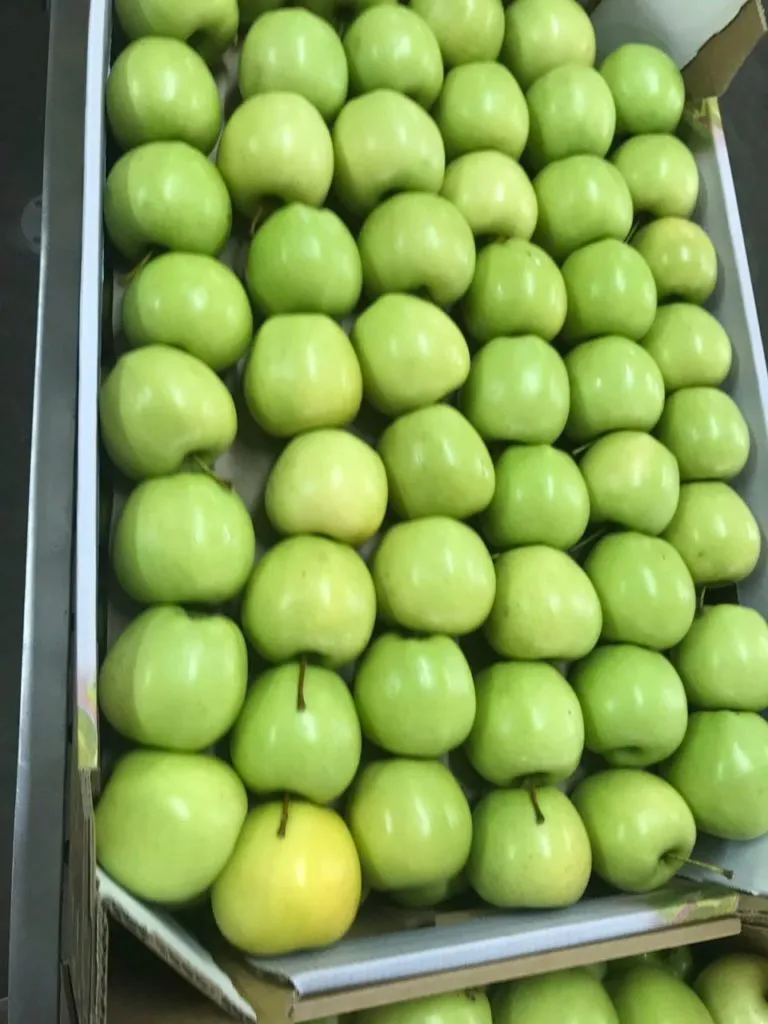 яблоки оптом от производителя в Краснодаре 5