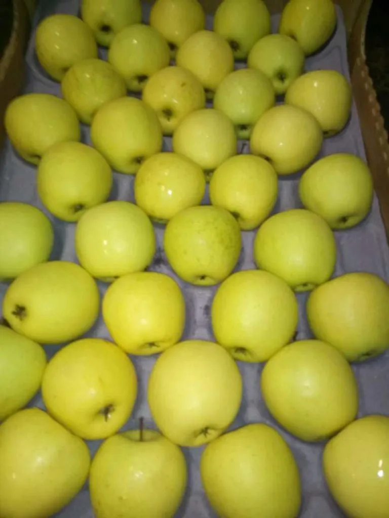 яблоки оптом от производителя в Краснодаре 2