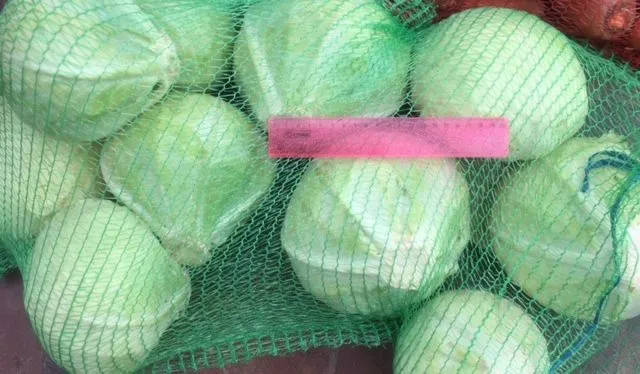 продаю капусту оптом от 10 тонн в Ростове-на-Дону 3
