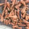 продаю оптом морковь переработка в Ростове-на-Дону