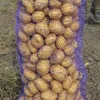 картофель продовольственный Гала Вега в Чебоксарах 5