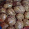 картофель семенной Гала, Вега опт ранний в Чебоксарах 2
