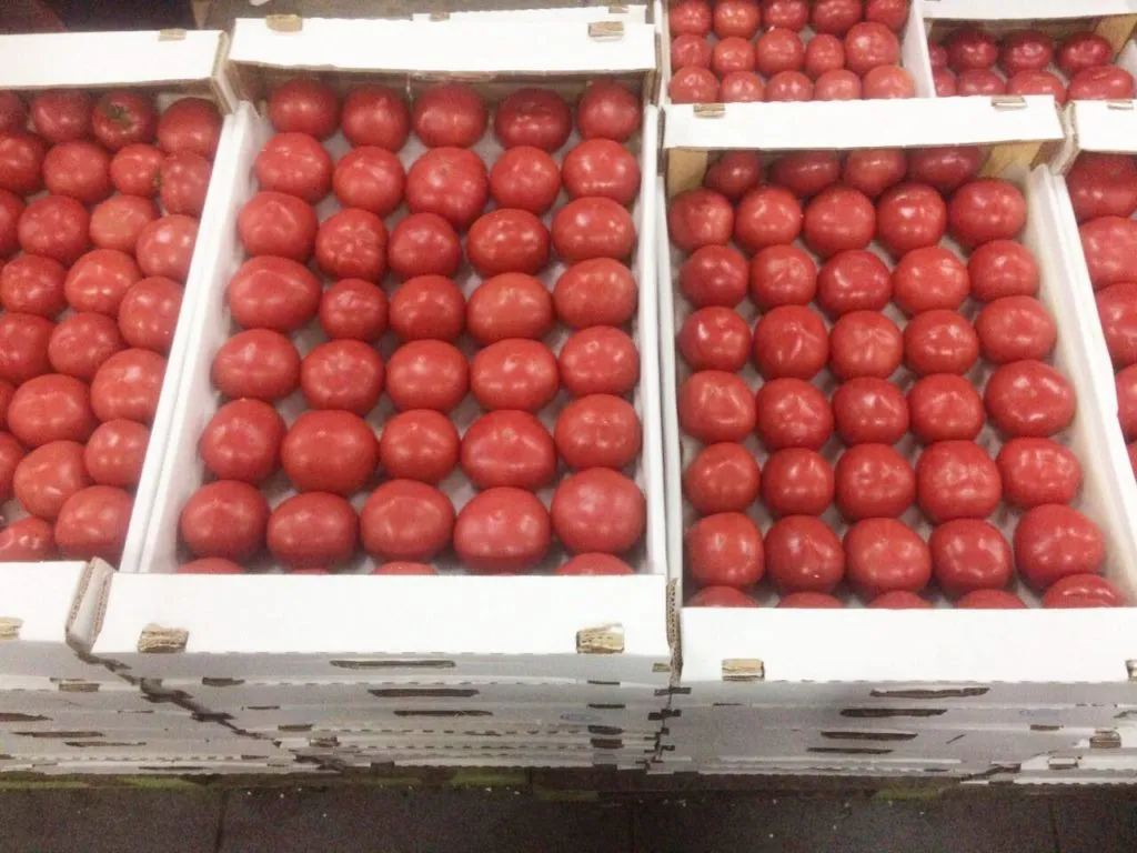 фотография продукта Реализую продажу помидор Ламия