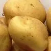 картофель семенной сорт ЛАПЕРЛА в Талдоме 2
