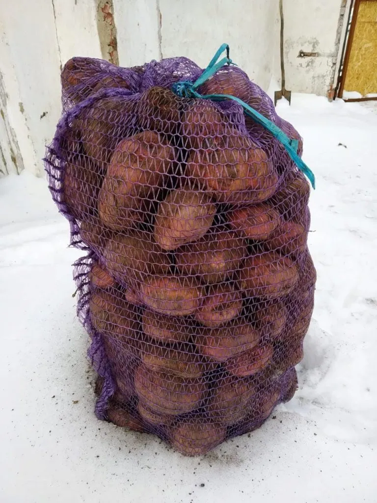 картофель(розара, романо) , 5,5 руб. в Омске 2