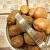 картофель(розара, романо) , 5,5 руб. в Омске