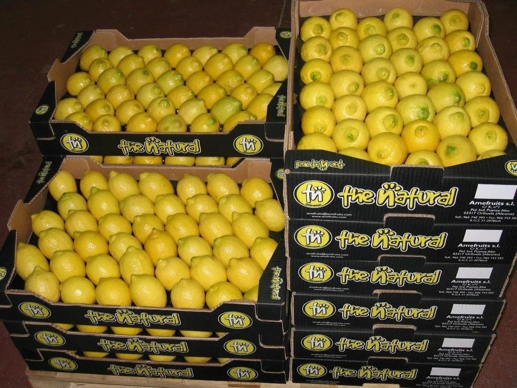 предлагаем приобрести оптом лимон в Краснодаре