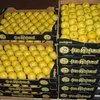 предлагаем приобрести оптом лимон в Краснодаре