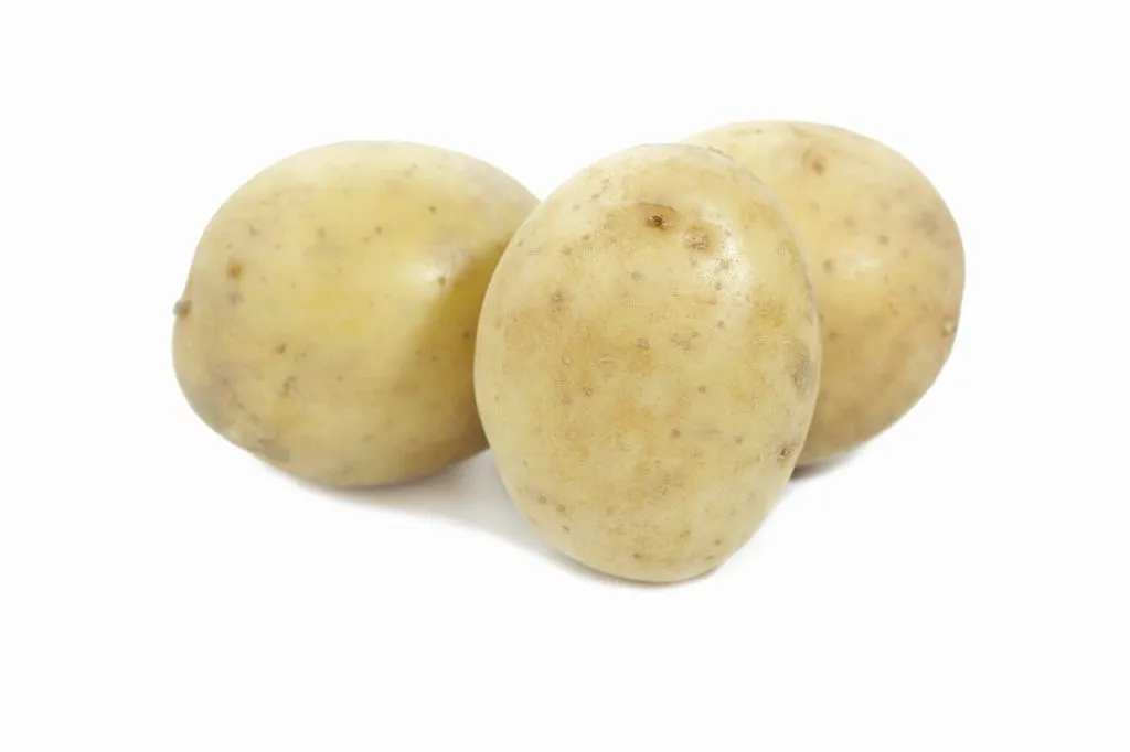 семенной картофель сорт Гала в Талдоме
