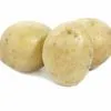 семенной картофель сорт Гала в Талдоме