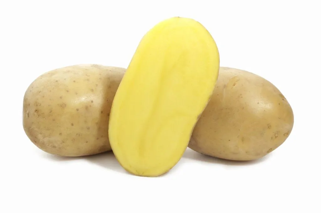 семенной картофель сорт Вега в Талдоме