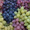 виноград от производителя в Волгограде