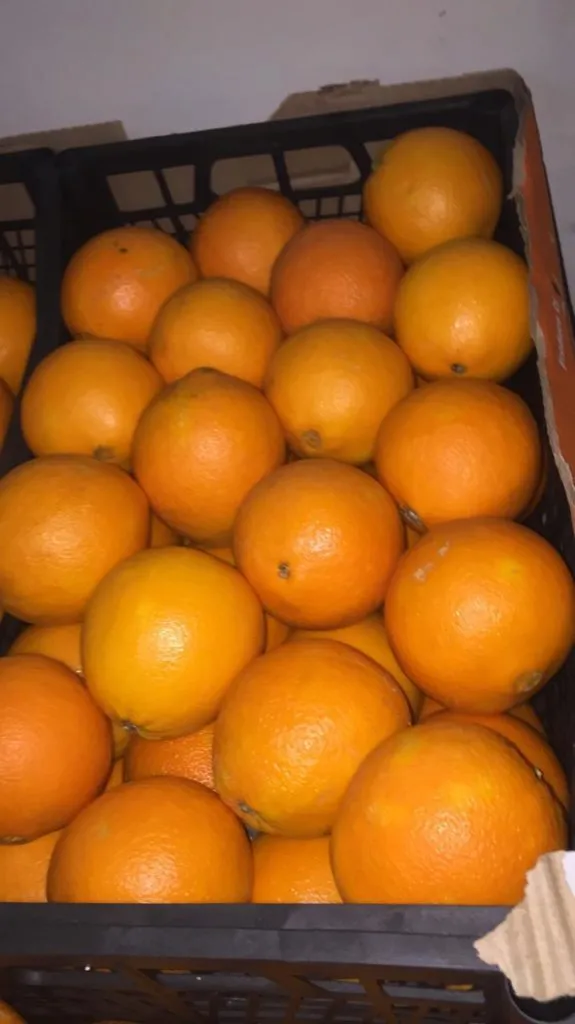 мандарин,апельсин и лимон Турция в Москве 3