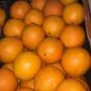 мандарин,апельсин и лимон Турция в Москве 3