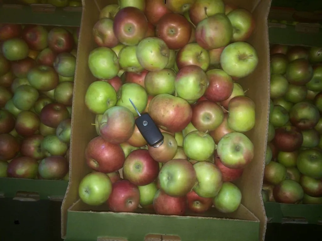 плодосовхоз реализует яблоко оптом. в Краснодаре 3