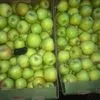 плодосовхоз реализует яблоко оптом. в Краснодаре