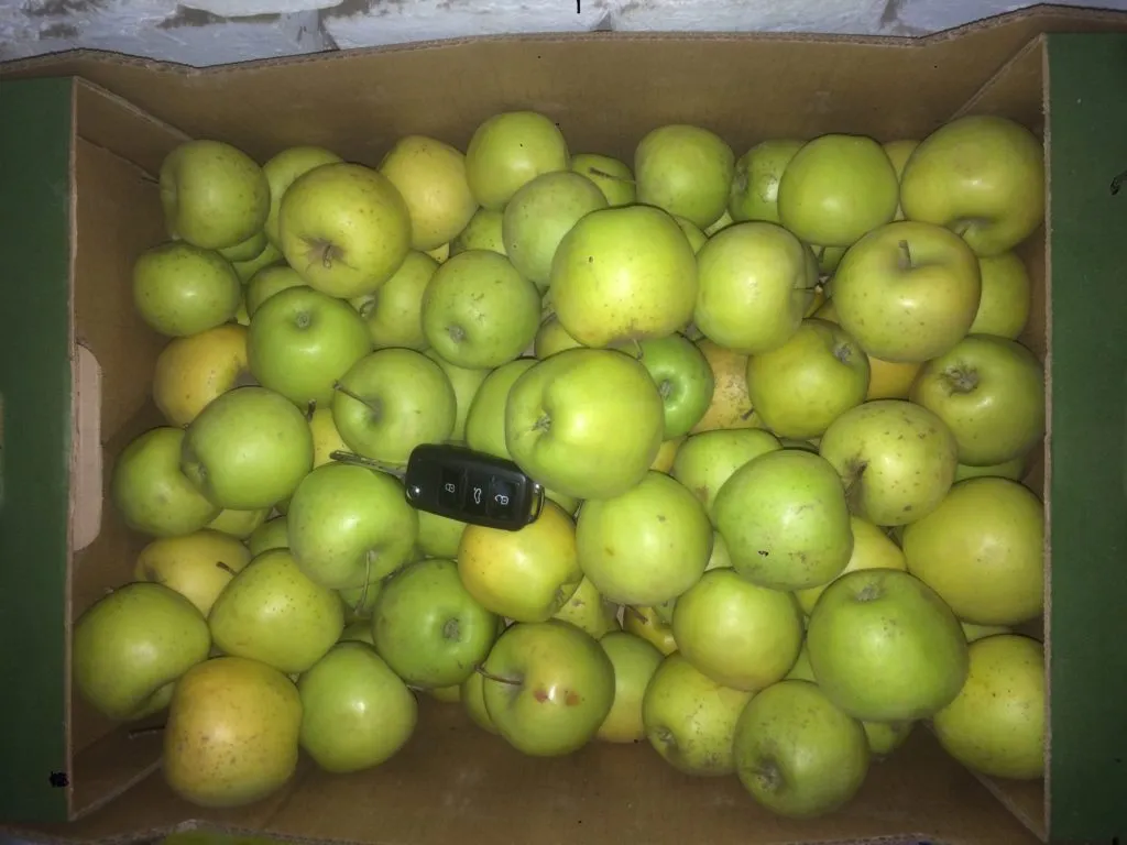 плодосовхоз реализует яблоко оптом. в Краснодаре 2