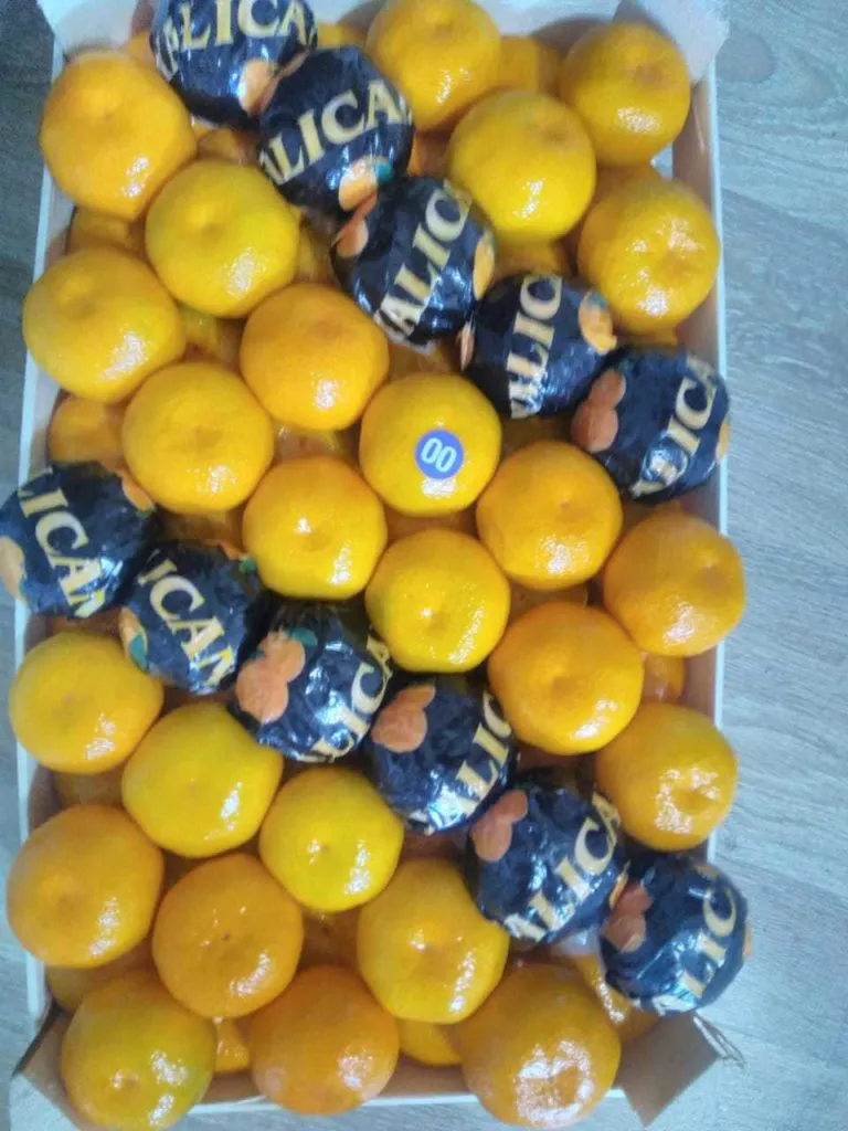 мандарин, Апельсин, Лимон в Москве 5