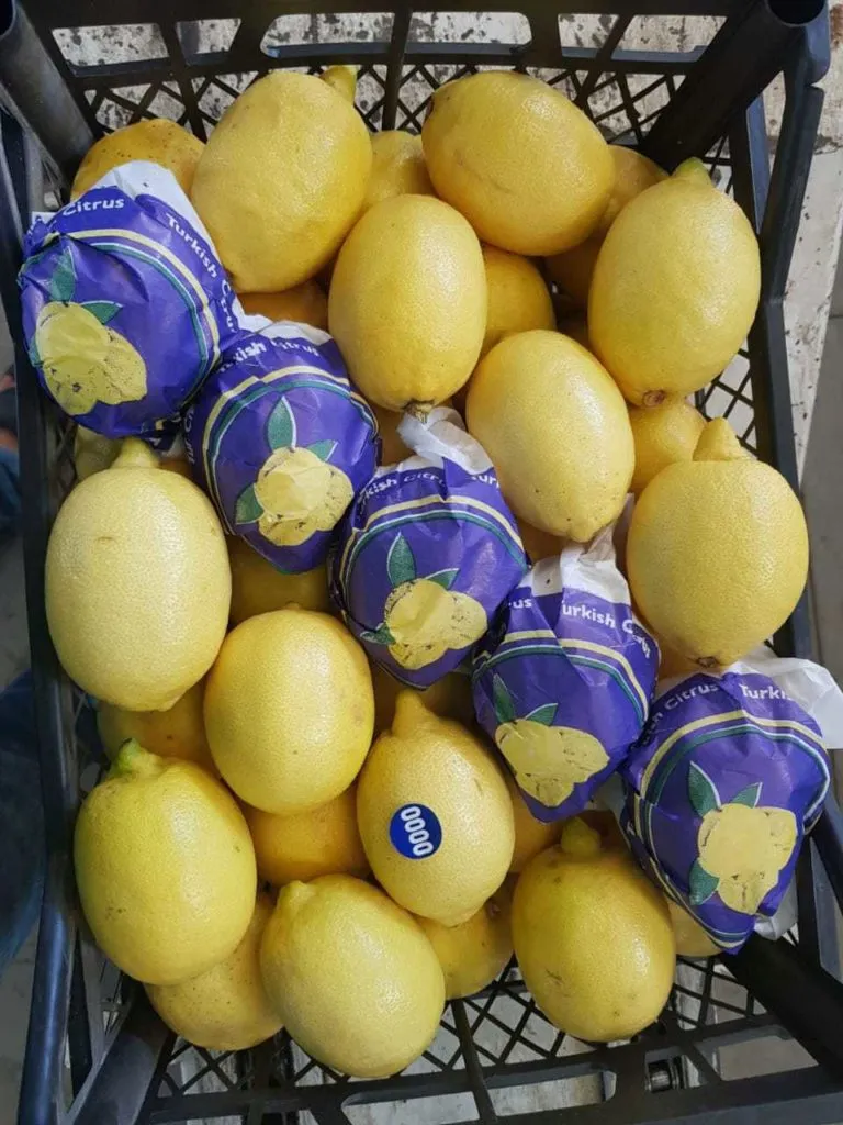 мандарин, Апельсин, Лимон в Москве 3