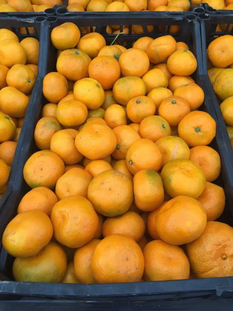 мандарины  в Новосибирске