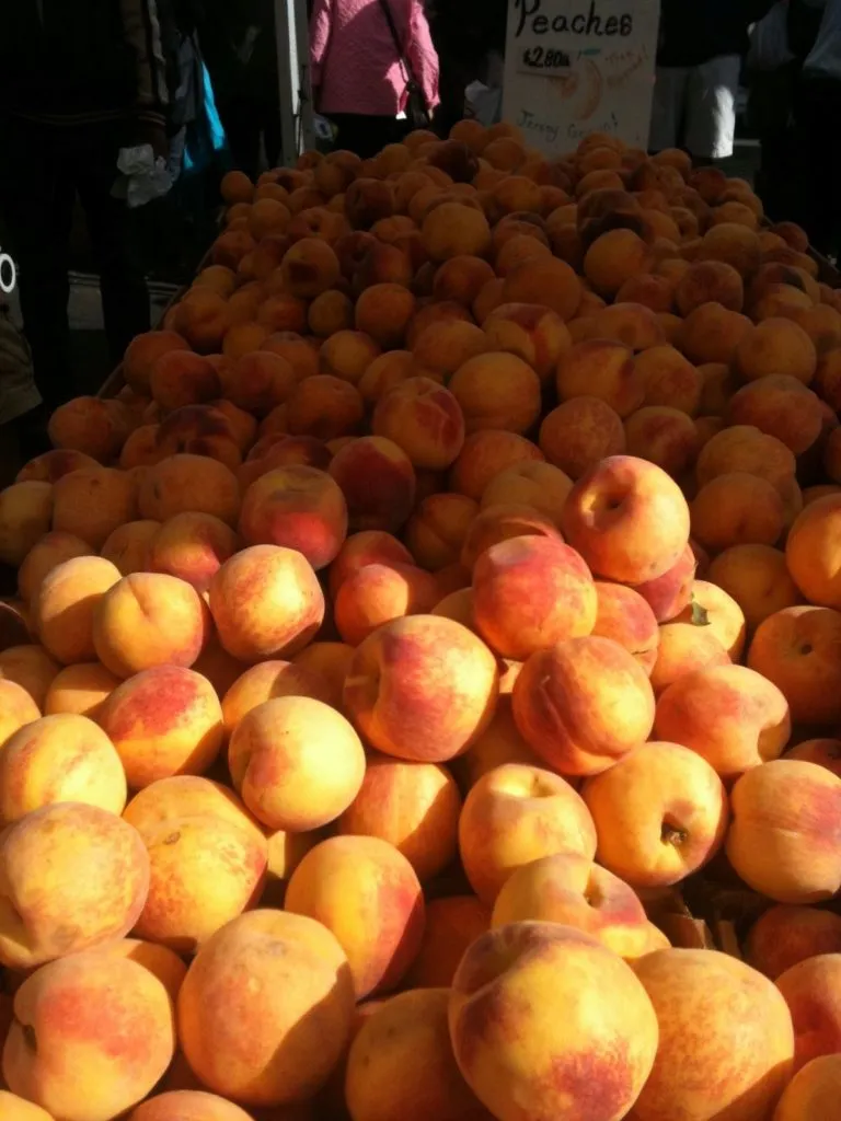 абрикосы готовы к продаже в Новосибирске